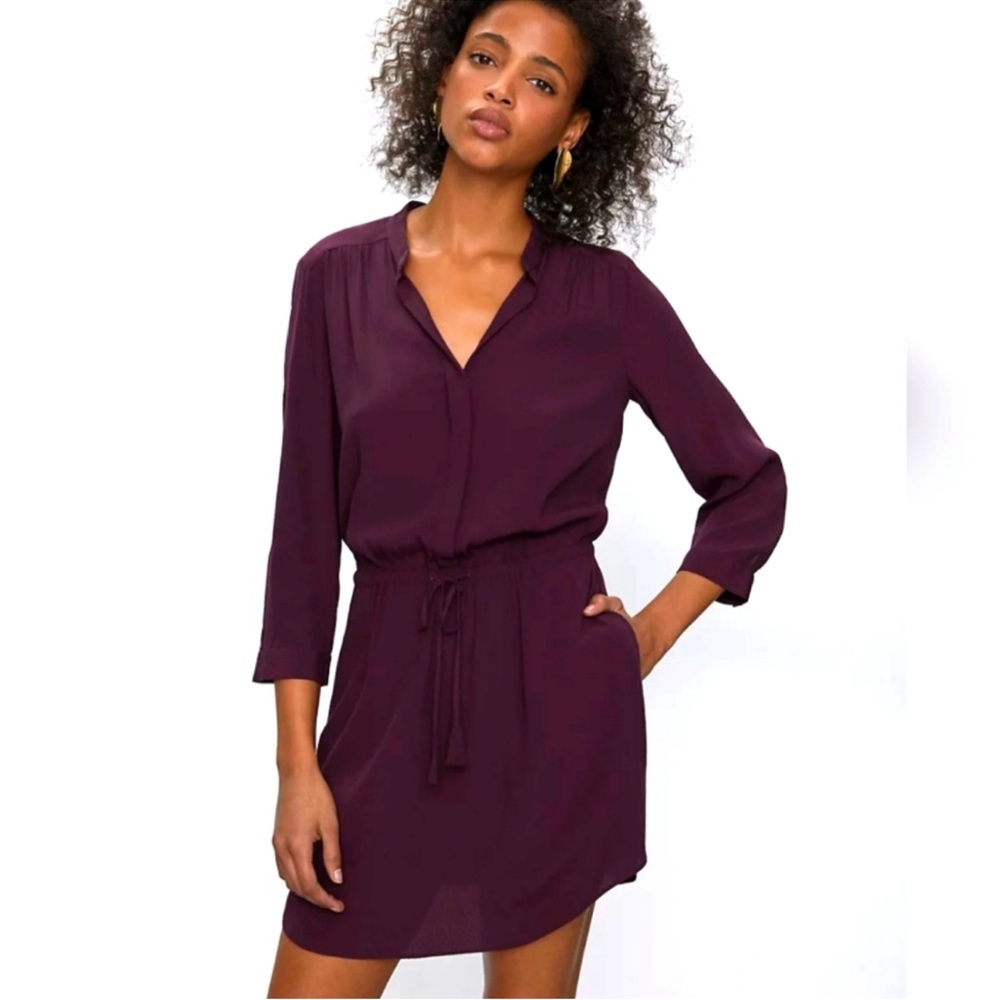 Aritzia Babaton 100% Silk Dress